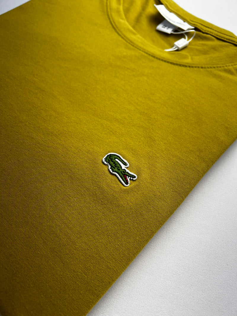 Camiseta Lacoste - Caqui - Algodão Egípcio
