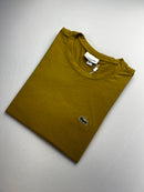 Camiseta Lacoste - Caqui - Algodão Egípcio