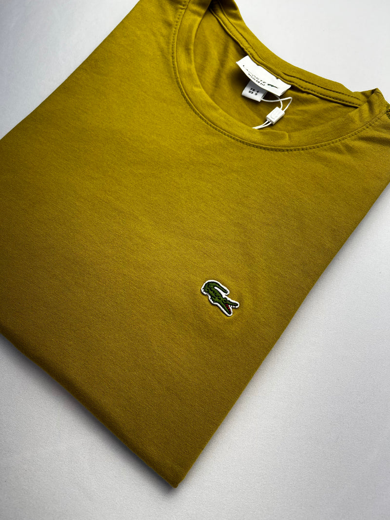 Camiseta Lacoste - Caqui - Algodão Egípcio