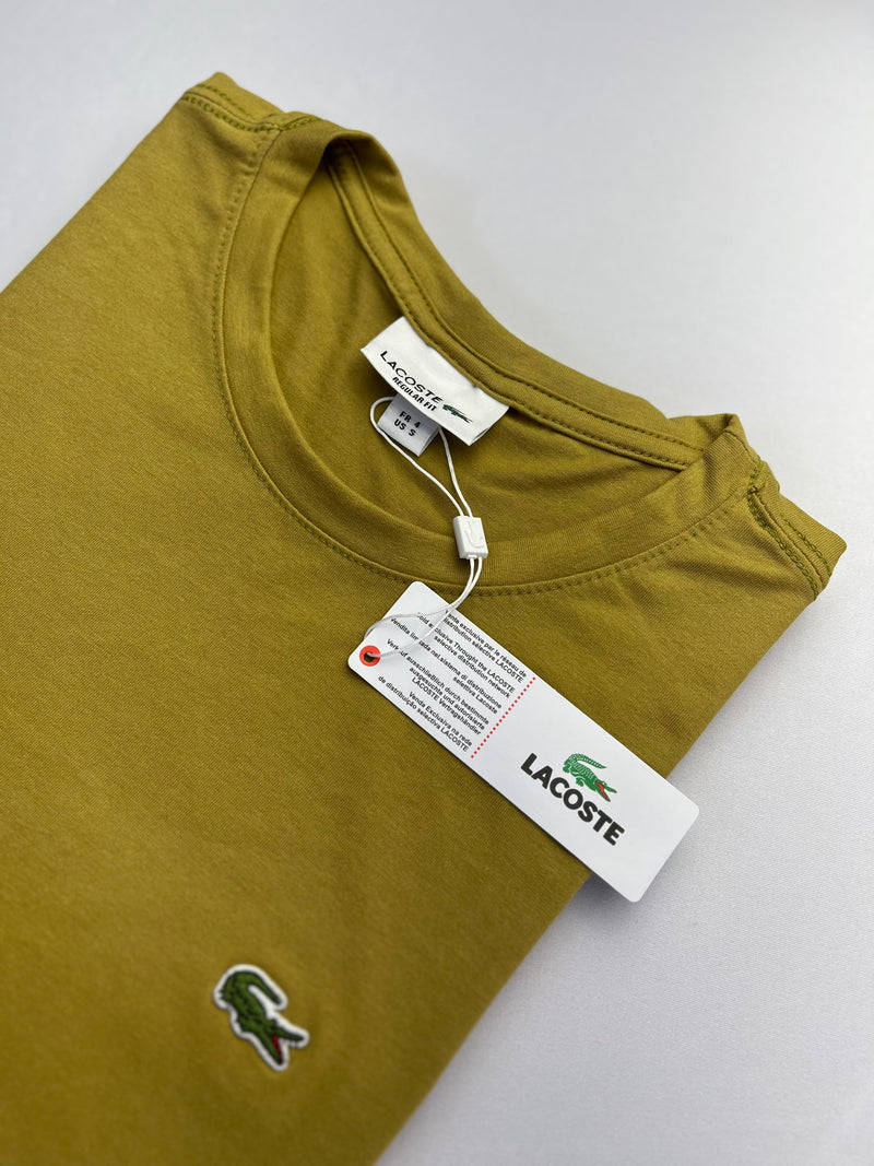Camiseta Lacoste - Caqui - Algodão Egípcio